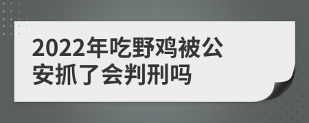 2022年吃野鸡被公安抓了会判刑吗