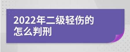 2022年二级轻伤的怎么判刑