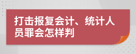 打击报复会计、统计人员罪会怎样判