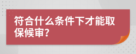 符合什么条件下才能取保候审？