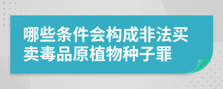 哪些条件会构成非法买卖毒品原植物种子罪