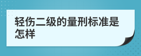 轻伤二级的量刑标准是怎样