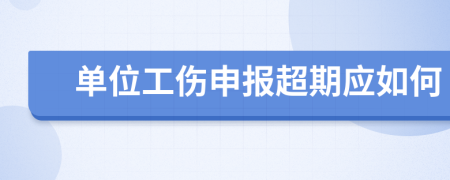 单位工伤申报超期应如何