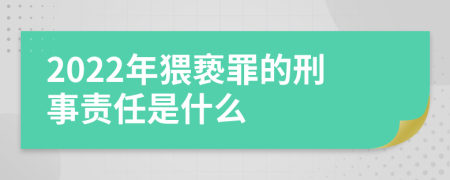 2022年猥亵罪的刑事责任是什么