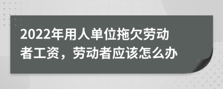 2022年用人单位拖欠劳动者工资，劳动者应该怎么办