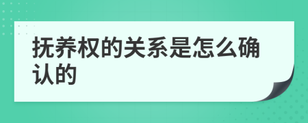 抚养权的关系是怎么确认的