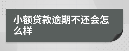 小额贷款逾期不还会怎么样