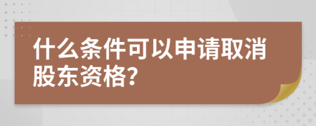 什么条件可以申请取消股东资格？