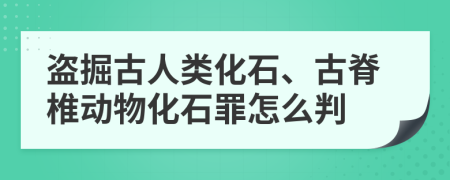 盗掘古人类化石、古脊椎动物化石罪怎么判