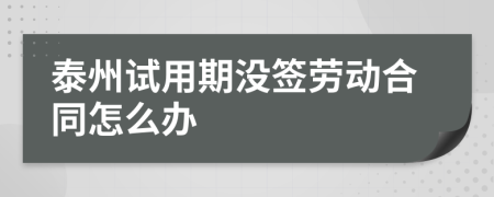 泰州试用期没签劳动合同怎么办