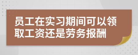 员工在实习期间可以领取工资还是劳务报酬