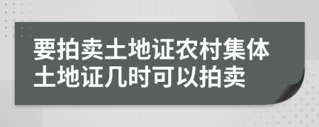 要拍卖土地证农村集体土地证几时可以拍卖