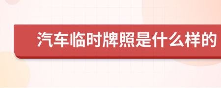 汽车临时牌照是什么样的