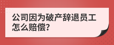 公司因为破产辞退员工怎么赔偿？