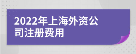 2022年上海外资公司注册费用