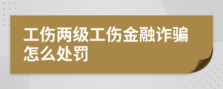 工伤两级工伤金融诈骗怎么处罚