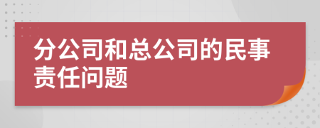 分公司和总公司的民事责任问题