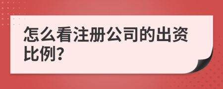 怎么看注册公司的出资比例？