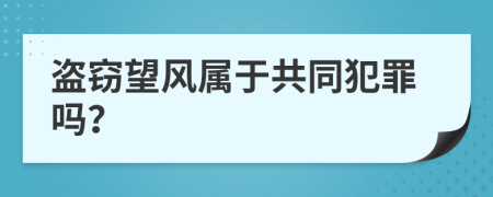 盗窃望风属于共同犯罪吗？