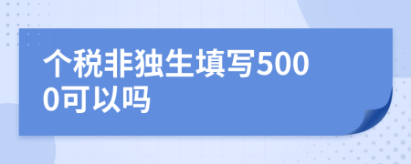 个税非独生填写5000可以吗