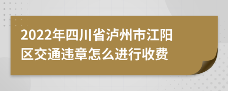 2022年四川省泸州市江阳区交通违章怎么进行收费