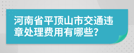 河南省平顶山市交通违章处理费用有哪些？