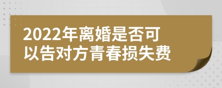 2022年离婚是否可以告对方青春损失费