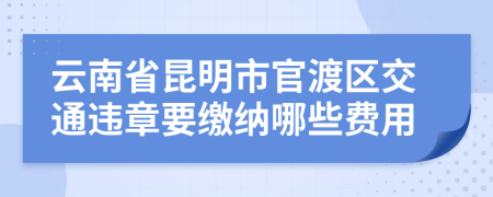 云南省昆明市官渡区交通违章要缴纳哪些费用