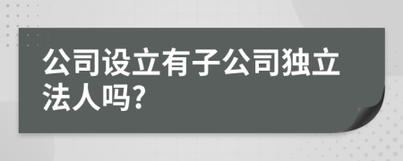 公司设立有子公司独立法人吗?