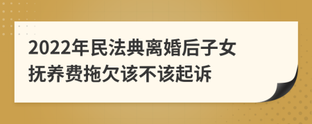 2022年民法典离婚后子女抚养费拖欠该不该起诉