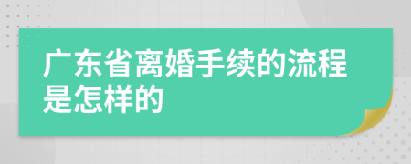 广东省离婚手续的流程是怎样的