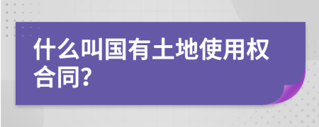 什么叫国有土地使用权合同？