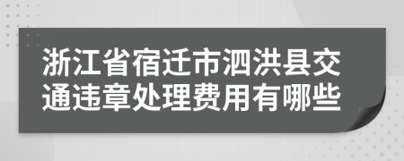 浙江省宿迁市泗洪县交通违章处理费用有哪些