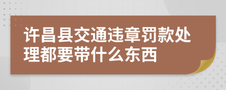 许昌县交通违章罚款处理都要带什么东西