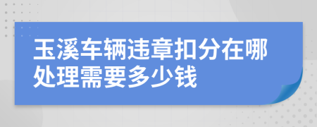 玉溪车辆违章扣分在哪处理需要多少钱