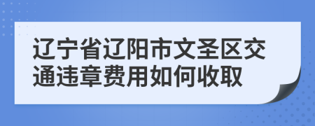 辽宁省辽阳市文圣区交通违章费用如何收取