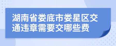 湖南省娄底市娄星区交通违章需要交哪些费