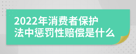 2022年消费者保护法中惩罚性赔偿是什么