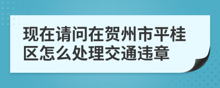 现在请问在贺州市平桂区怎么处理交通违章