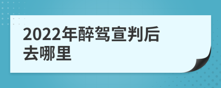 2022年醉驾宣判后去哪里