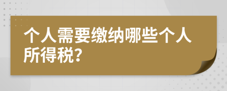 个人需要缴纳哪些个人所得税？