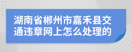 湖南省郴州市嘉禾县交通违章网上怎么处理的