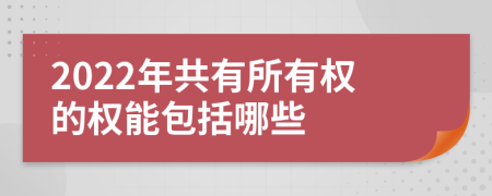 2022年共有所有权的权能包括哪些