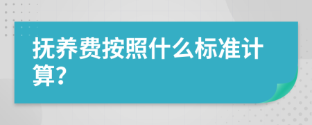 抚养费按照什么标准计算？
