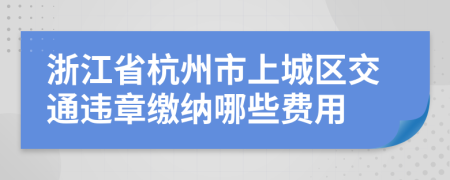 浙江省杭州市上城区交通违章缴纳哪些费用