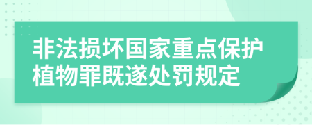 非法损坏国家重点保护植物罪既遂处罚规定