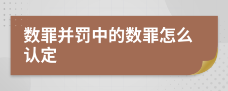 数罪并罚中的数罪怎么认定