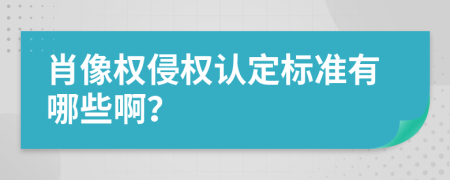 肖像权侵权认定标准有哪些啊？