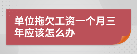 单位拖欠工资一个月三年应该怎么办