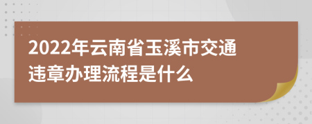 2022年云南省玉溪市交通违章办理流程是什么